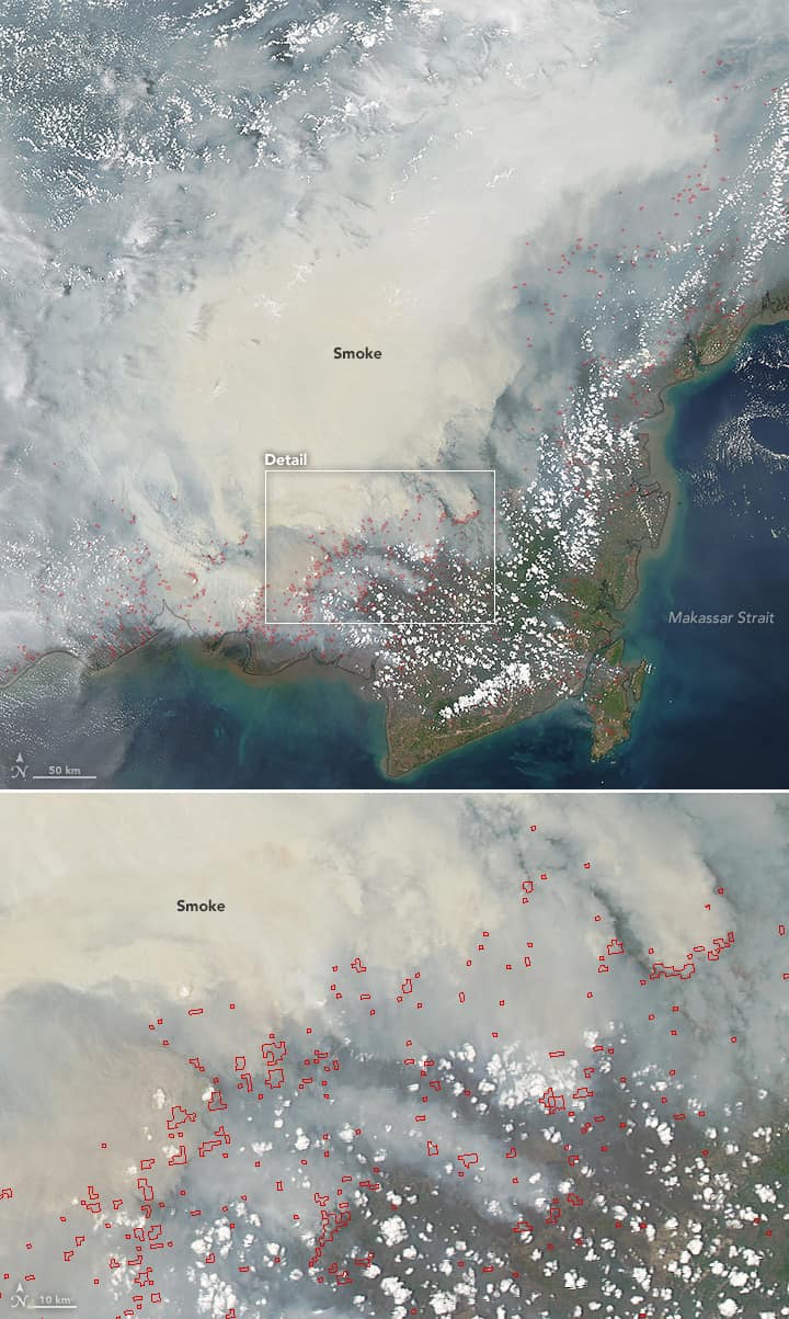 Dense smoke pouring off peat fires across Borneo, seen from orbit